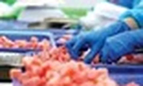 Quốc gia châu Phi báo tin vui cho Việt Nam: Nhập khẩu 1 loại 'siêu thực phẩm' tăng mạnh