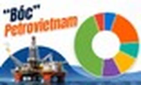 Phát hiện doanh nghiệp nắm giữ lượng tiền lớn nhất Việt Nam: 376.352 tỷ đồng, mỗi ngày thu về hơn 1.700 tỷ đồng