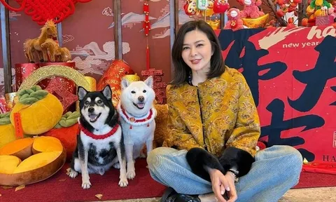 Nhan sắc gây ngỡ ngàng của "đệ nhất mỹ nhân Hương Cảng" ở tuổi 63