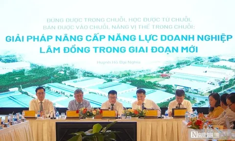 Lâm Đồng hướng tới nâng cao sức cạnh tranh doanh nghiệp, phát triển kinh tế tư nhân bền vững