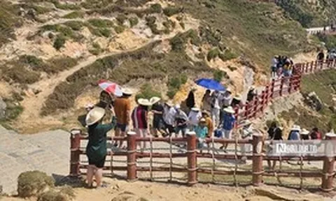 Tỉnh Gia Lai yêu cầu đơn vị quản lý, khai thác khu Eo gió tạm dừng việc tăng giá vé lên 127%