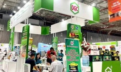 Hóa chất Đức Giang dự kiến thời gian khắc phục ý kiến ngoại trừ của kiểm toán về hàng tồn kho