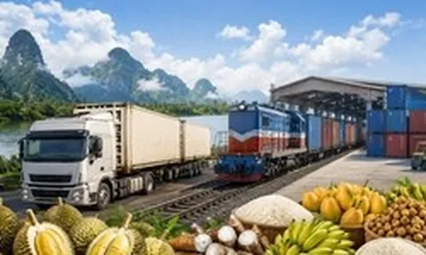 Campuchia mở hành lang mới: Nông sản tăng tốc, từ 20 ngày xuống 1 tuần - Trung Quốc ở gần hơn bao giờ hết