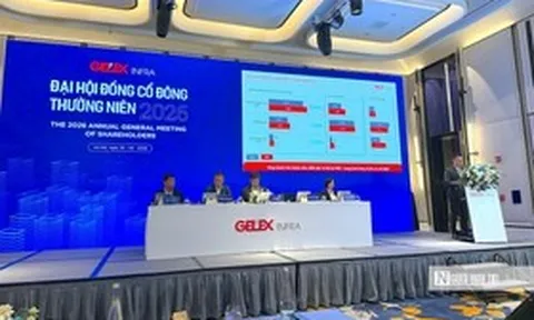 Lần đầu họp cổ đông sau niêm yết, Hạ tầng GELEX đặt mục tiêu doanh thu hơn 16.600 tỷ đồng