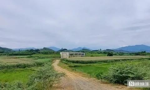 Nghịch lý cây cầu tiền tỷ ở Nghệ An: Bắc qua sông nhưng "cụt hai đầu"