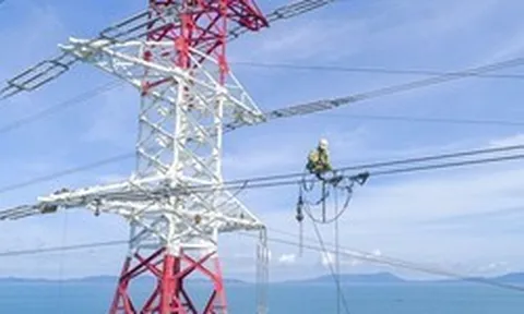 Một công ty con của EVN bị cả 4 Công ty Big4 từ chối kiểm toán sau khi Chủ tịch HĐQT bị khởi tố