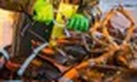 Việt Nam vừa đón tin cực vui từ Trung Quốc