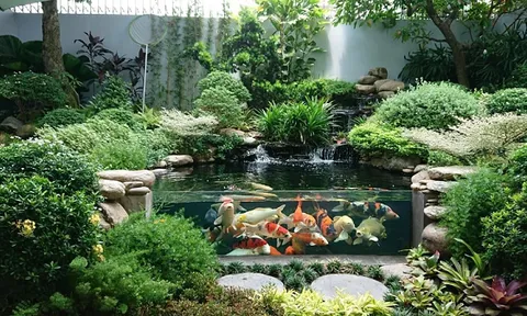 HomeGarden đơn vị đầu tiên về kiến trúc cây xanh !