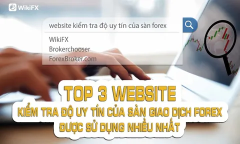 TOP 3 website kiểm tra độ uy tín của sàn giao dịch Forex được sử dụng nhiều nhất