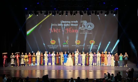 Nhiều loại hình nghệ thuật đặc sắc của Việt Nam được giới thiệu tới công chúng Hàn Quốc