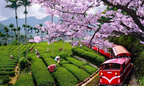 Cục du lịch Đài Loan tại TP. Hồ Chí Minh đồng hành cùng MyProGuide quảng bá du lịch Đài Loan cho thị trường FIT Việt Nam năm 2023