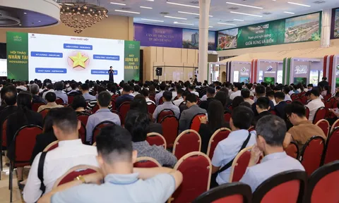 Cơ hội nghề nghiệp bứt phá tại NovaGroup: Tuyển dụng đa cấp bậc, phỏng vấn trực tiếp