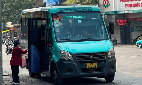Xe buýt mini và khả năng mở rộng kết nối giao thông đô thị